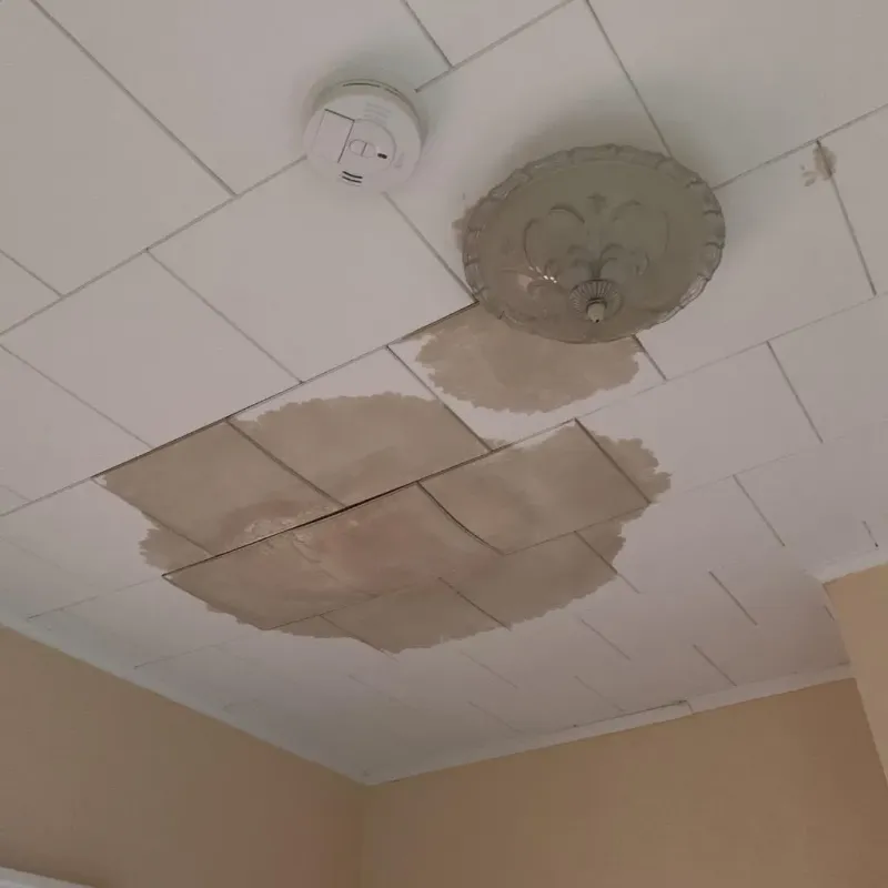 Ceiling Water Damage Repair in Barrington, IL