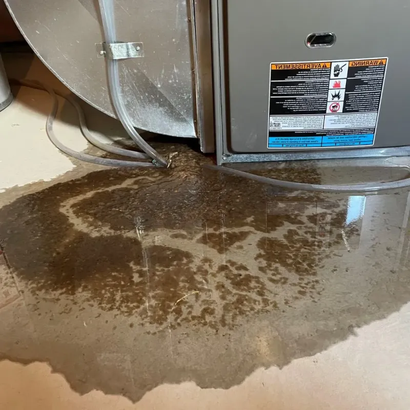 Pipe Burst and Leak Restoration in Barrington, IL