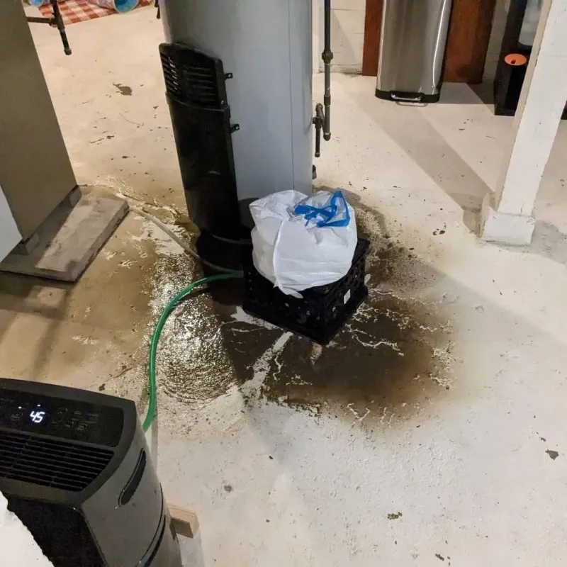 Sewage Backup Cleanup Service in Barrington, IL
